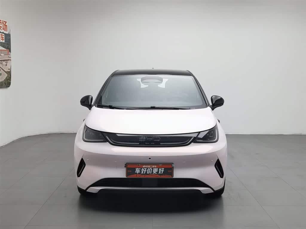 2025 BYD Dolphin --, 6,200 km, China export – photo 3