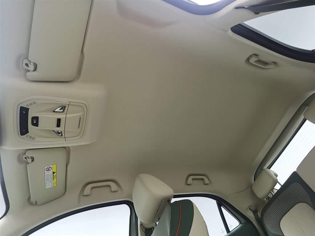 2022 Ora Good Cat 银灰色, 42,500 km, China export – photo 13