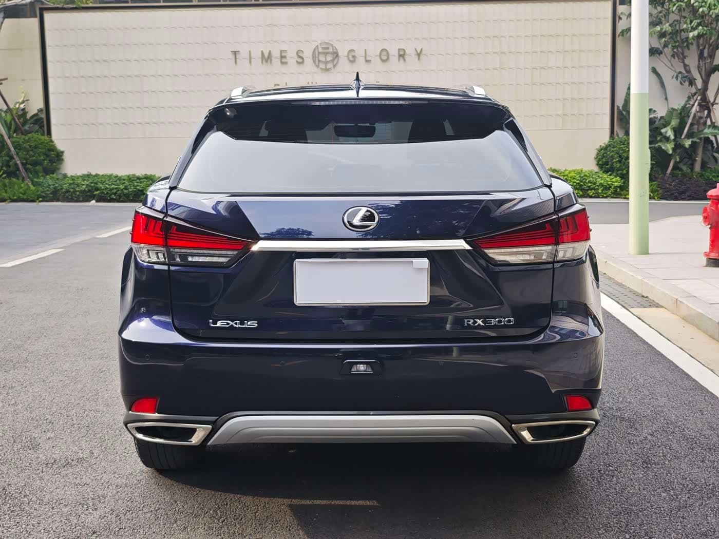 2020 Lexus RX Blue, 55,000 km, China export – photo 3