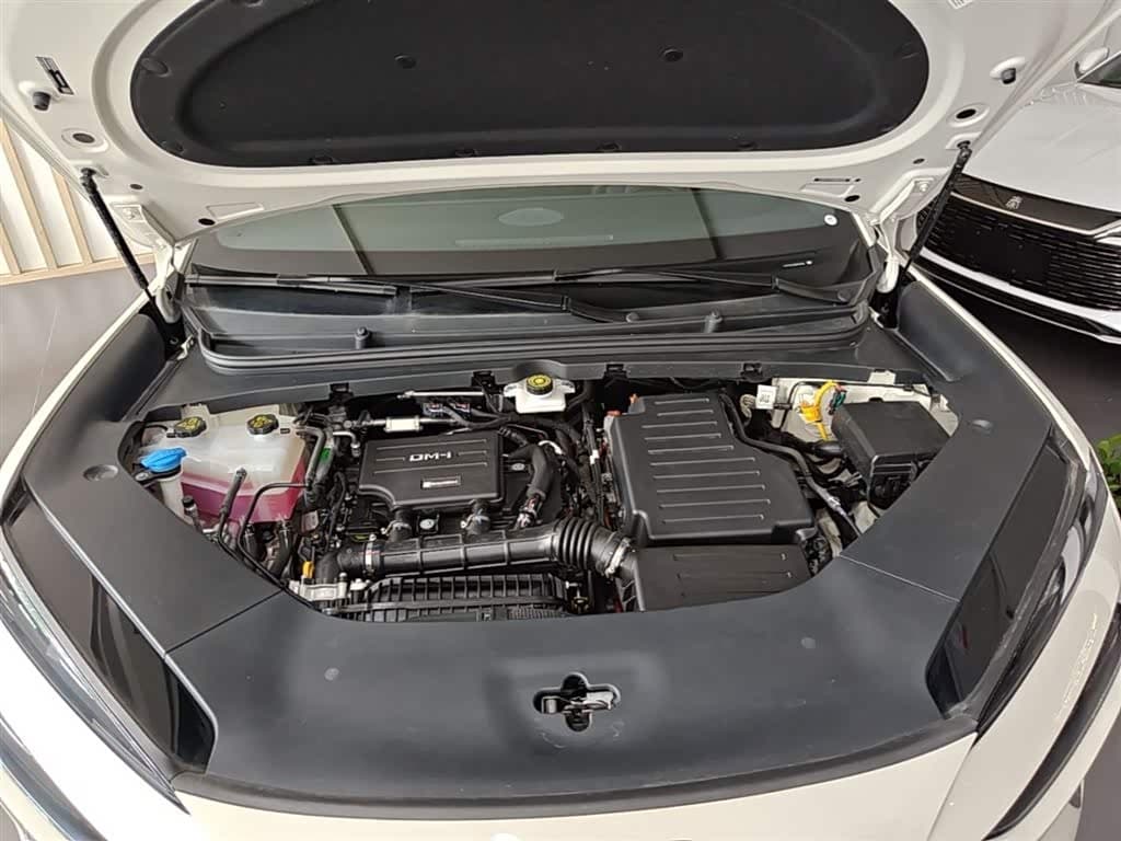 2025 BYD Sealion 06 New Energy White, 9,000 km, China export – photo 20