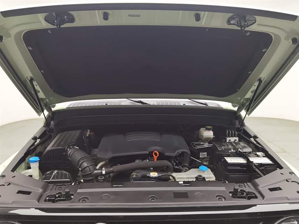 2021 Tank 300 Green, 48,400 km, China export – photo 6