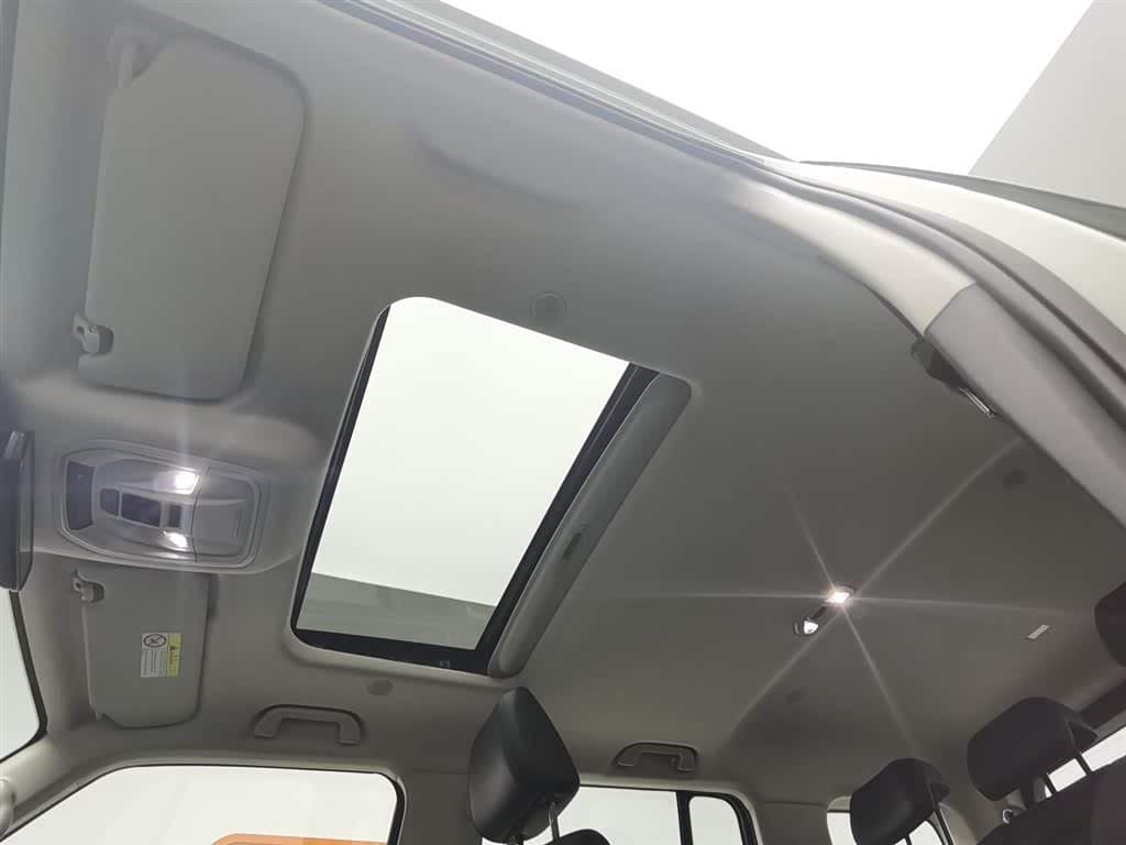 2021 Tank 300 Green, 48,400 km, China export – photo 14