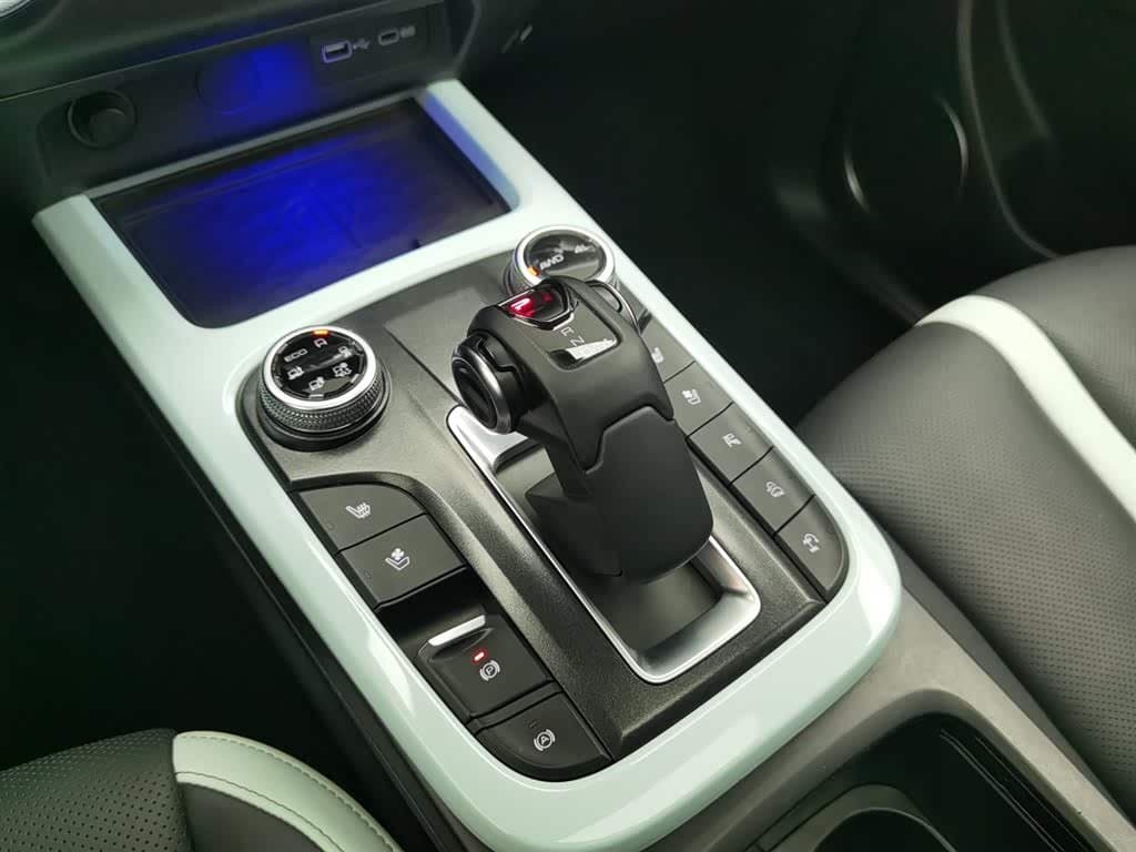 2021 Tank 300 Green, 48,400 km, China export – photo 13