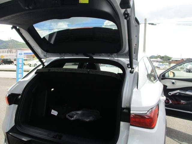 2023 BYD ATTO 3 White, 100 km, Japan export – photo 19