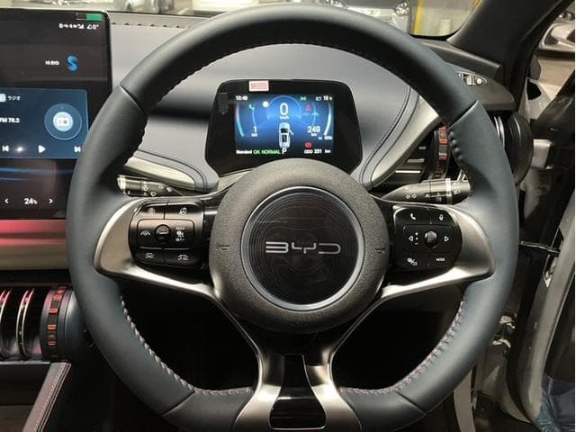 2025 BYD ATTO 3 White, 500 km, Japan export – photo 13