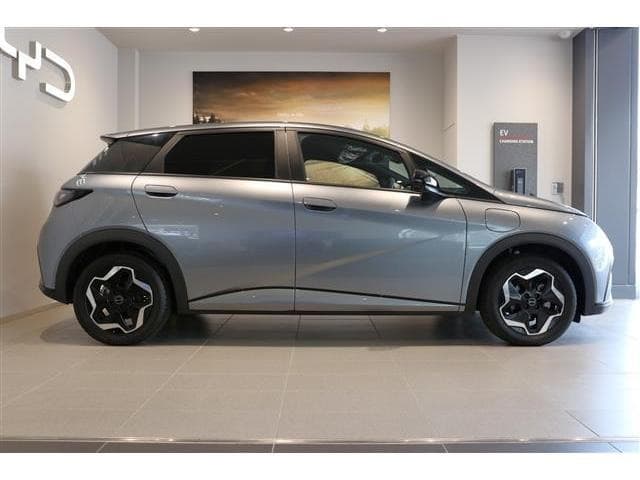 2024 BYD DOLPHIN Gray, 85 km, Japan export – photo 17