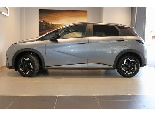 2024 BYD DOLPHIN Gray, 85 km, Japan export – photo 16