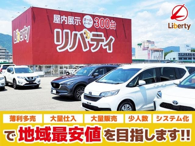 2024 BYD DOLPHIN Gray, 85 km, Japan export – photo 3