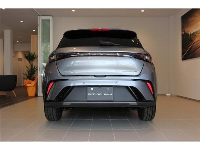 2024 BYD DOLPHIN Gray, 85 km, Japan export – photo 19