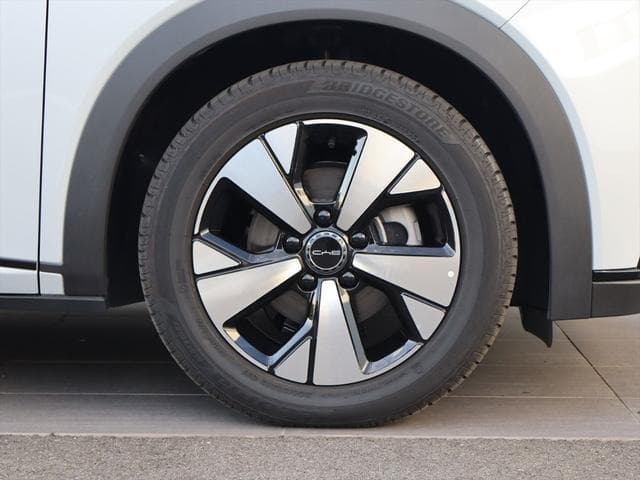2024 BYD DOLPHIN GRAY II, 7,100 km, Japan export – photo 19