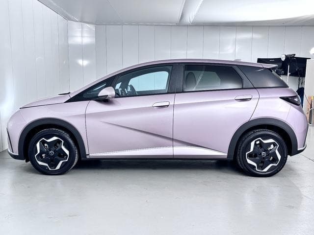 2024 BYD DOLPHIN PINK, 1,461 km, Japan export – photo 9