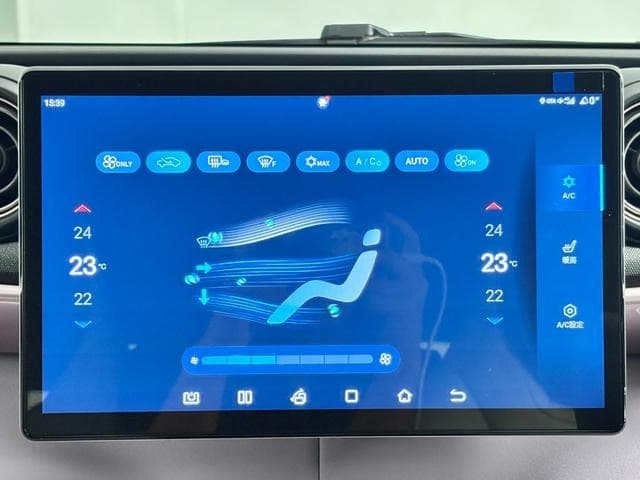 2024 BYD DOLPHIN PINK, 1,461 km, Japan export – photo 19