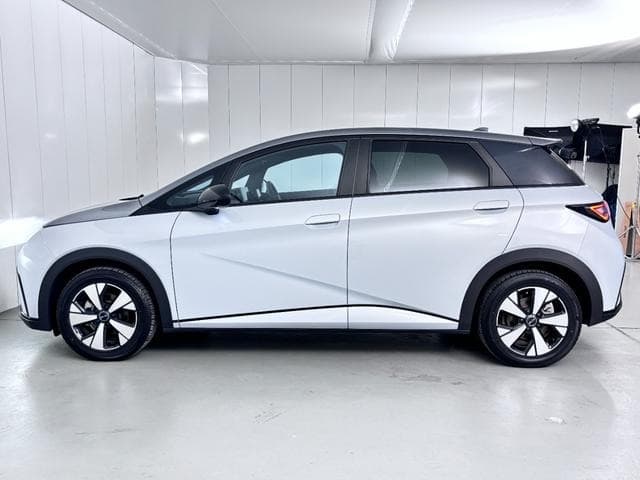 2024 BYD DOLPHIN WHITE/GRAY, 9,573 km, Japan export – photo 9