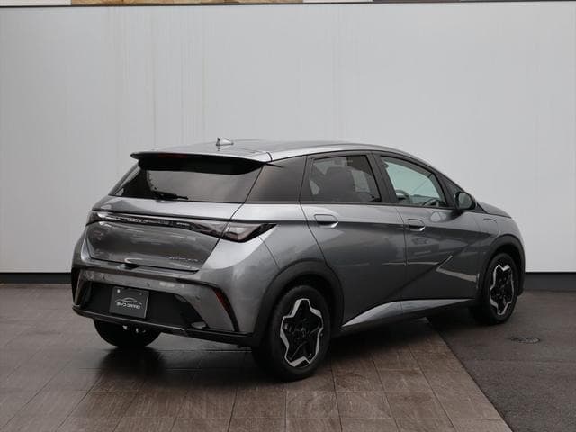 2024 BYD DOLPHIN Gray, 6,400 km, Japan export – photo 8
