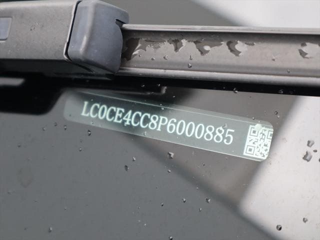 2024 BYD DOLPHIN Gray, 6,400 km, Japan export – photo 12