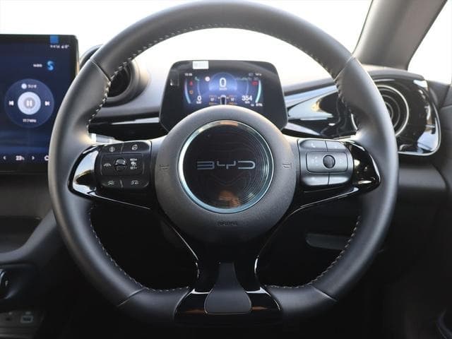 2024 BYD DOLPHIN Gray, 6,400 km, Japan export – photo 16