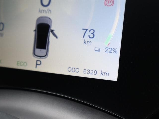 2024 BYD DOLPHIN Gray, 6,400 km, Japan export – photo 11