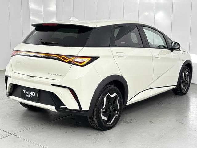 2025 BYD DOLPHIN White, 59 km, Japan export – photo 15