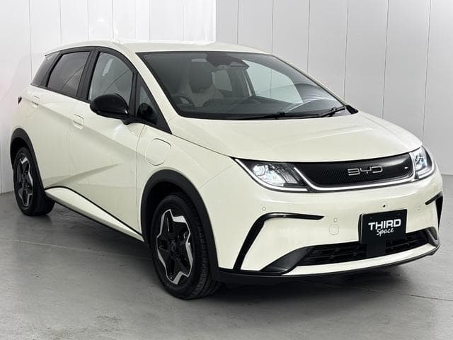 2025 BYD DOLPHIN White, 59 km, Japan export – photo 13