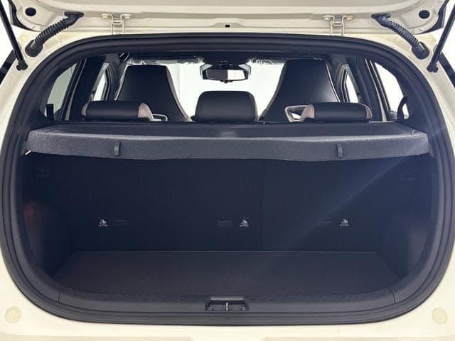 2025 BYD DOLPHIN White, 59 km, Japan export – photo 19