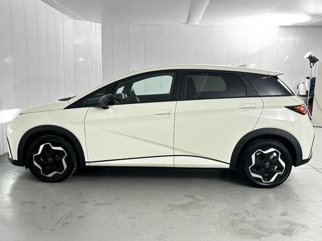 2025 BYD DOLPHIN White, 59 km, Japan export – photo 18