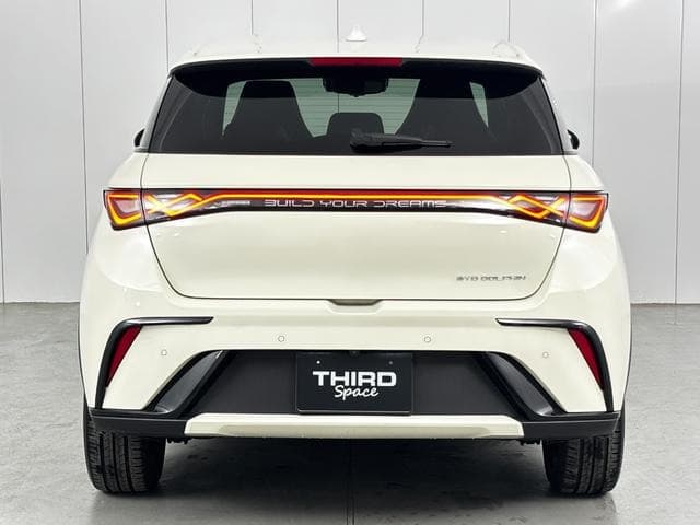 2025 BYD DOLPHIN White, 59 km, Japan export – photo 16