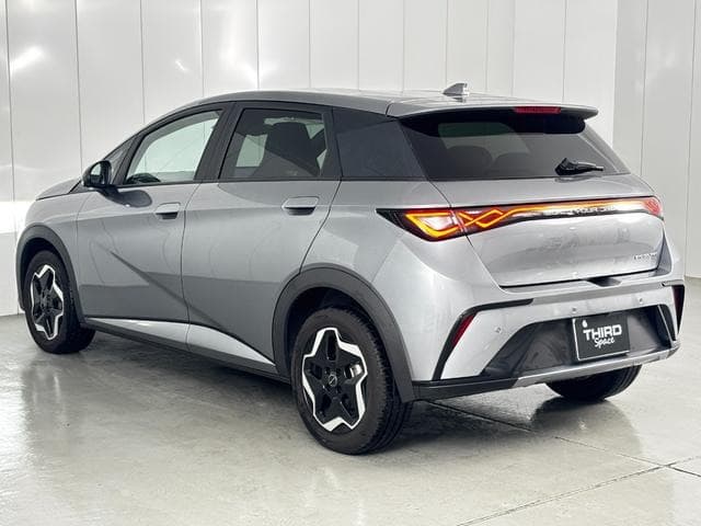 2025 BYD DOLPHIN GRAY M, 603 km, Japan export – photo 8