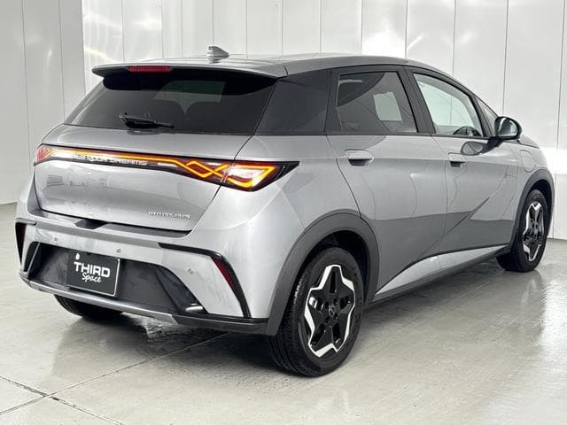 2025 BYD DOLPHIN GRAY M, 603 km, Japan export – photo 10