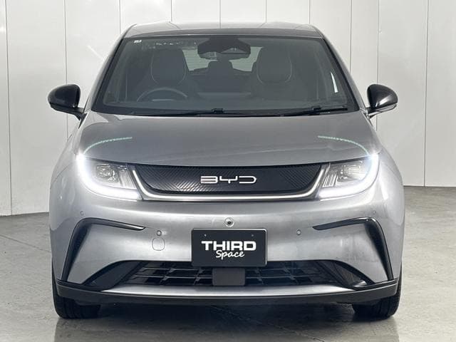 2025 BYD DOLPHIN GRAY M, 603 km, Japan export – photo 4