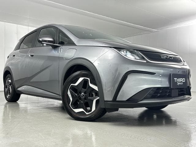 2025 BYD DOLPHIN GRAY M, 603 km, Japan export – photo 11