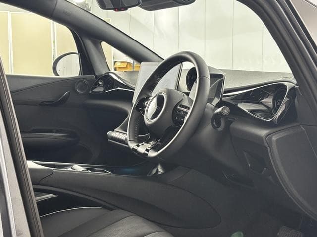 2025 BYD DOLPHIN GRAY M, 603 km, Japan export – photo 19