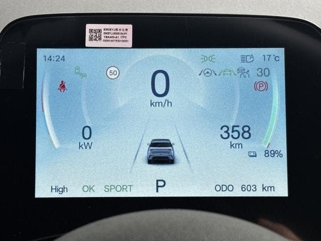 2025 BYD DOLPHIN GRAY M, 603 km, Japan export – photo 16