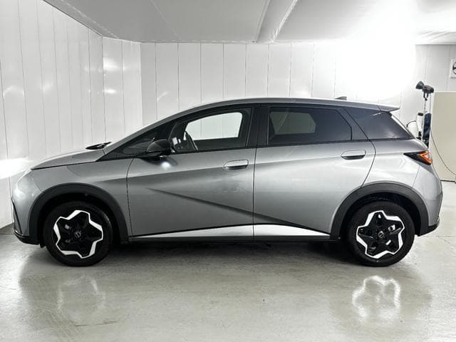 2025 BYD DOLPHIN GRAY M, 603 km, Japan export – photo 7