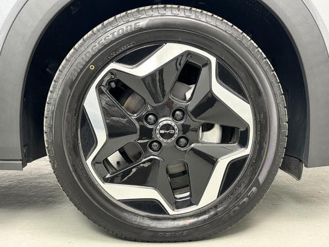 2025 BYD DOLPHIN GRAY M, 1,973 km, Japan export – photo 9