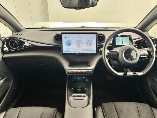 2025 BYD DOLPHIN GRAY M, 1,973 km, Japan export – photo 18