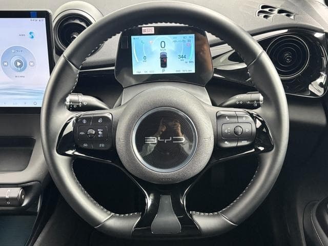 2025 BYD DOLPHIN GRAY M, 1,973 km, Japan export – photo 17