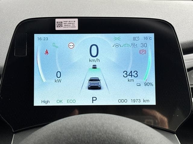 2025 BYD DOLPHIN GRAY M, 1,973 km, Japan export – photo 13