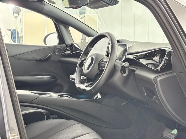 2025 BYD DOLPHIN GRAY M, 1,973 km, Japan export – photo 20