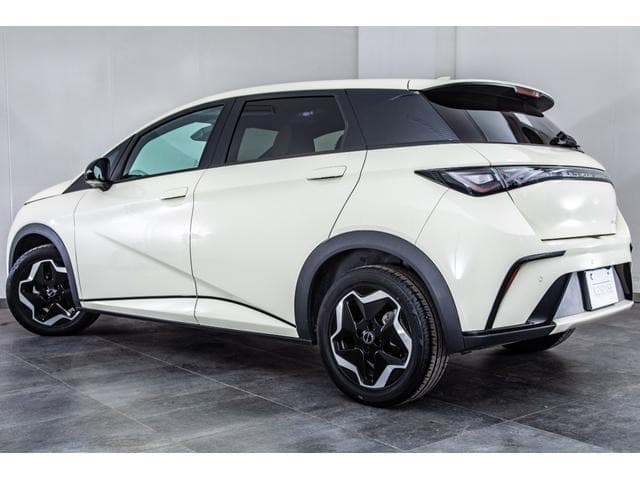 2023 BYD DOLPHIN White, 9,000 km, Japan export – photo 9