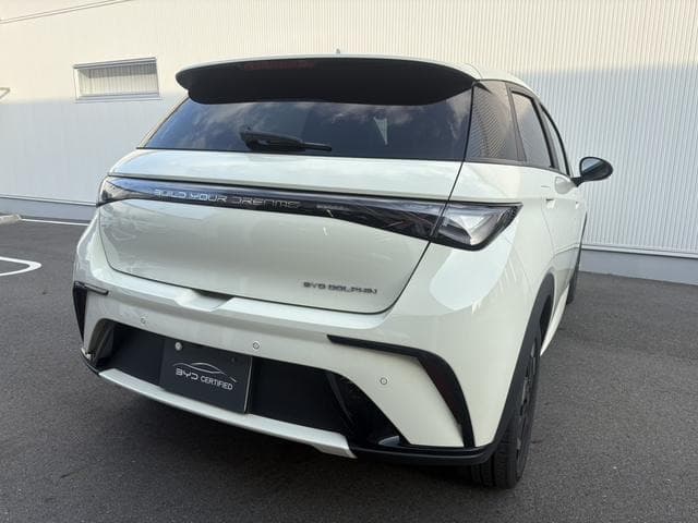 2025 BYD DOLPHIN White, 3,000 km, Japan export – photo 2