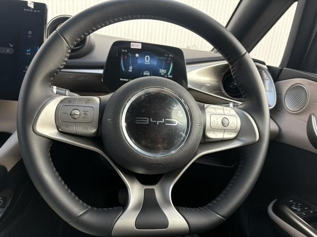 2025 BYD DOLPHIN White, 3,000 km, Japan export – photo 13
