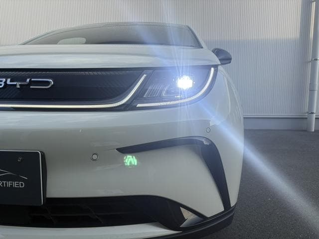 2025 BYD DOLPHIN White, 3,000 km, Japan export – photo 20