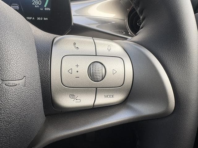 2025 BYD DOLPHIN White, 3,000 km, Japan export – photo 15