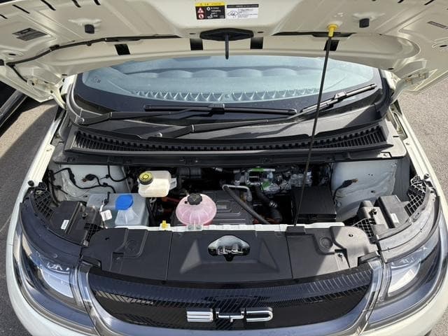 2025 BYD DOLPHIN White, 3,000 km, Japan export – photo 17