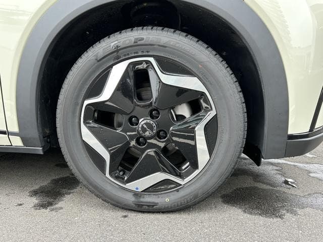 2025 BYD DOLPHIN White, 4,000 km, Japan export – photo 20