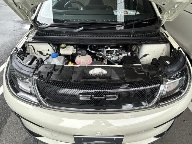 2025 BYD DOLPHIN White, 4,000 km, Japan export – photo 15