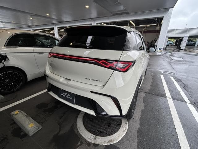 2025 BYD DOLPHIN White, 4,000 km, Japan export – photo 3