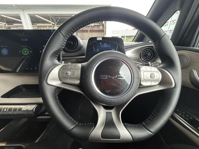 2025 BYD DOLPHIN White, 4,000 km, Japan export – photo 16