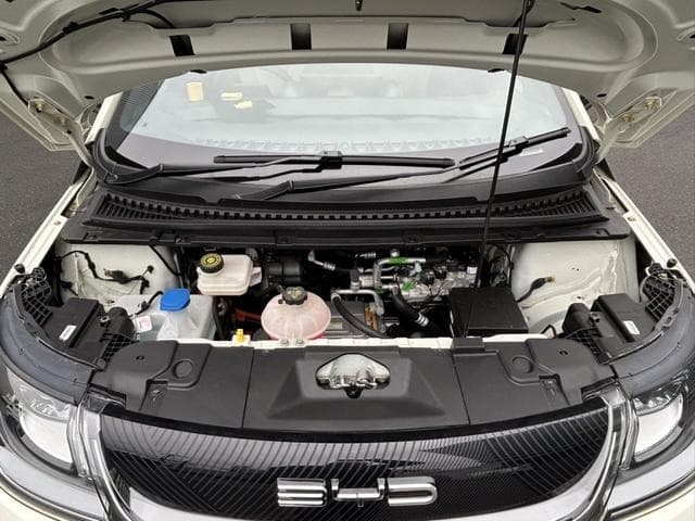 2025 BYD DOLPHIN White, 5,000 km, Japan export – photo 15