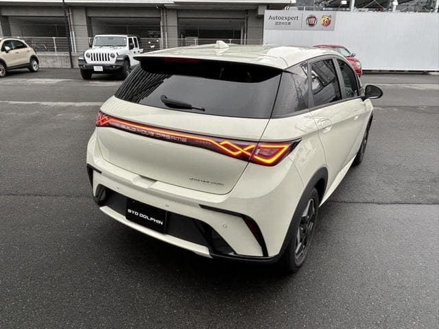 2025 BYD DOLPHIN White, 5,000 km, Japan export – photo 3